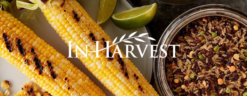 inharvest photo with corn and grains